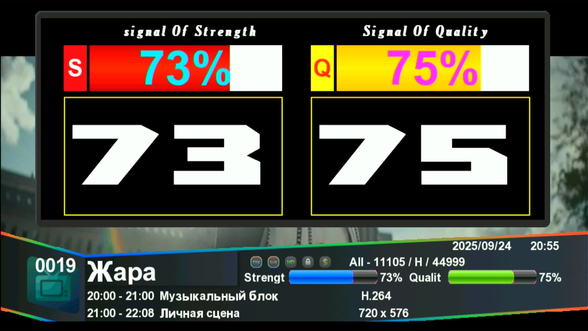 Zoom Signal in Big Digits