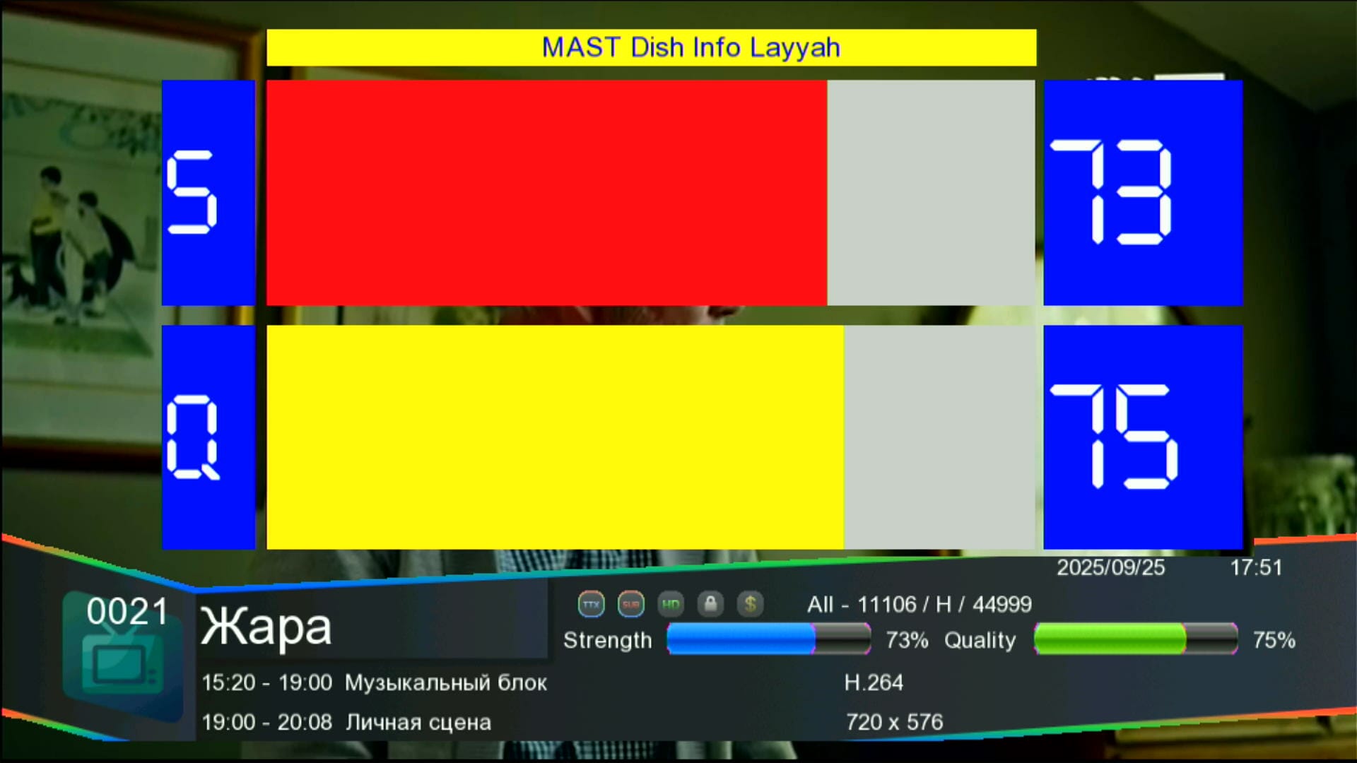 Zoom Signal in Big Digits