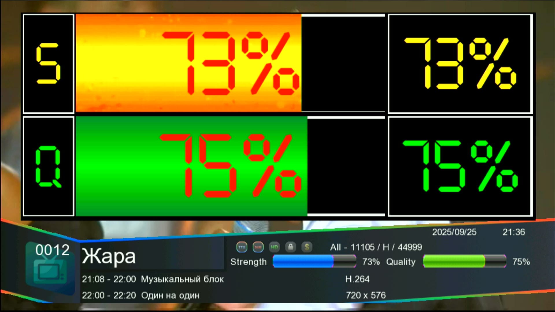 Zoom Signal in Big Digits