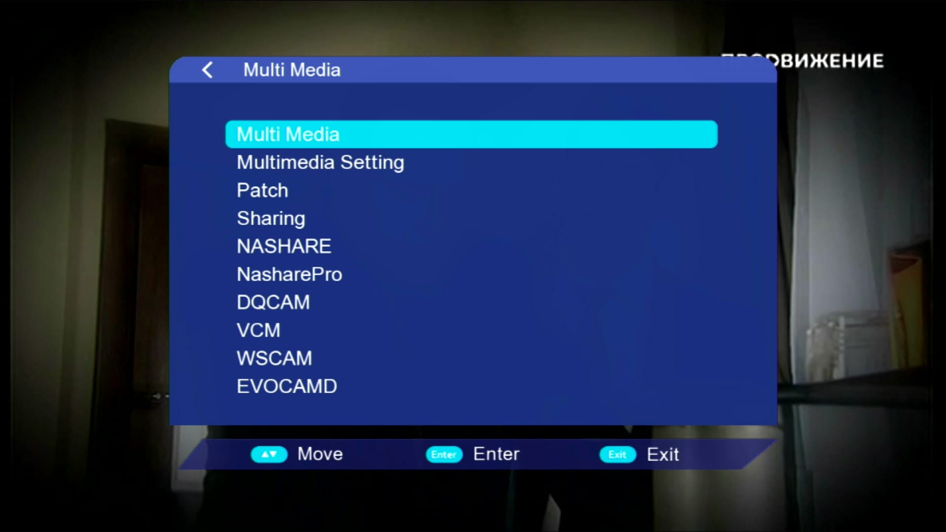 Multimedia Option